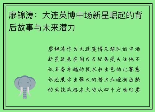廖锦涛：大连英博中场新星崛起的背后故事与未来潜力