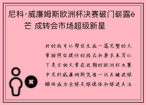 尼科·威廉姆斯欧洲杯决赛破门崭露锋芒 成转会市场超级新星
